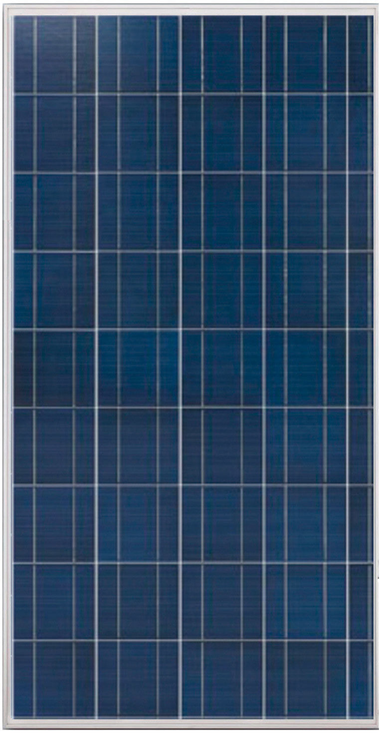 Trienergia Solarmodul TRI130PA