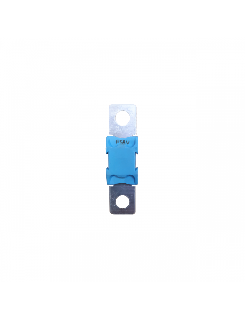 Victron Energy Sicherung Mega 250 A Versorgung 48 V