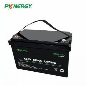 Shenzhen Pknergy Energy Co., Ltd. - Speicher - 12V 100Ah LifePO4 Lithium Battery Pack 12V 100Ah - Art. 36176