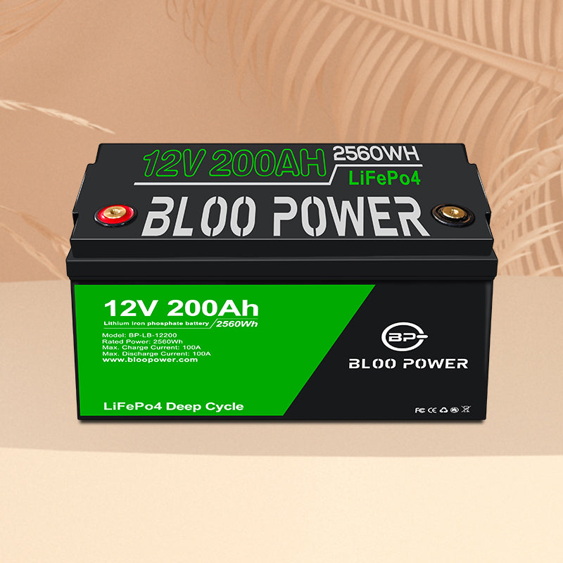 12V 200Ah Lithium ion Battery Pack BP-LB-12200 - Art. 29825