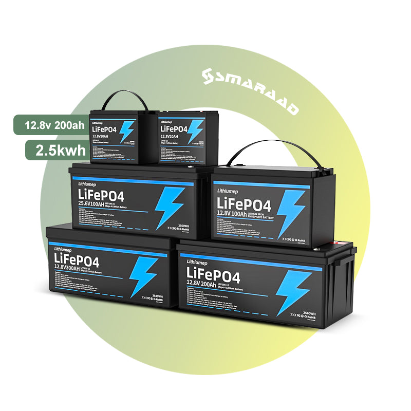 12.8V 100Ah LFP Battery 12,8V 100Ah - Art. 32015