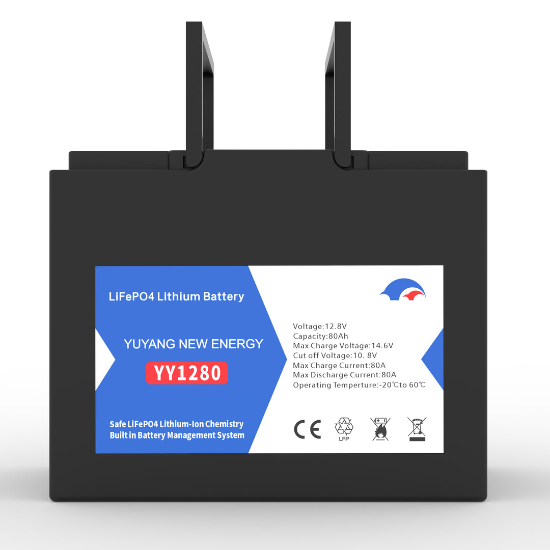 12.8v LiFePO4 Plastic Case Series YY1212P - Art. 31216