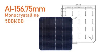 Changzhou Aoli Energy Technology Co., Ltd. - Zellen - 156.75mm 5BB 5,2 - Art. 24641