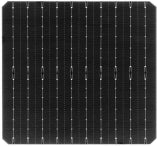 Sunlike Solar Co., Ltd. - Zellen - 182-10BB TOPcon 24,4 - Art. 27121