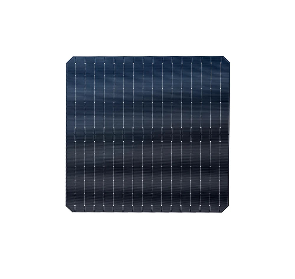 Techwise Solar Technology Co., Ltd. - Zellen - 182*182 Bifacial Cell 7,92 - Art. 28508