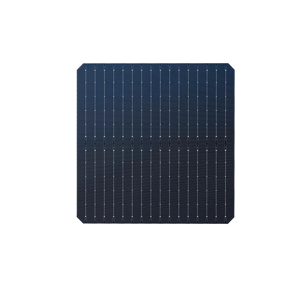 Techwise Solar Technology Co., Ltd. - Zellen - 182*183.75 Bifacial Cell 8,33 - Art. 28473
