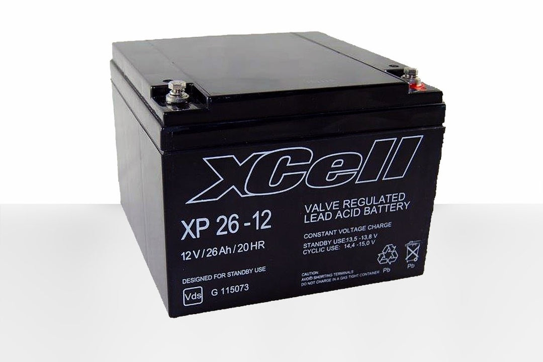 Yuasa Bleiakku mit 12V und 24Ah - NPL24-12I