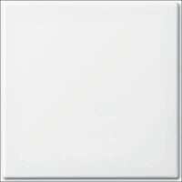 ABB BUSCH-JAEGER 2CKA001725A1562 Abdeckrahmen Schalterprogramm 11 mm