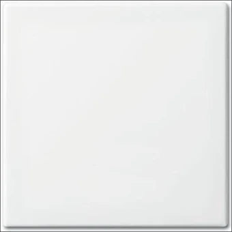 ABB BUSCH-JAEGER 2CKA001434A0662 Bedienelement / Zentralplatte Schalterprogramm 55 mm