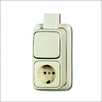 ABB BUSCH-JAEGER 2CKA001641A0233 Schakelaar/Steckdose combinatie