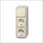 ABB BUSCH-JAEGER 2CKA002099A0248 Bodemplaat Schalterprogramm