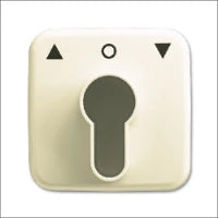 ABB BUSCH-JAEGER 2CKA000470A0013 Schlosseinsatz fuer Schaltschrank/Gehause