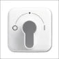 ABB BUSCH-JAEGER 2CKA000470A0013 Schlosseinsatz fuer Schaltschrank/Gehause