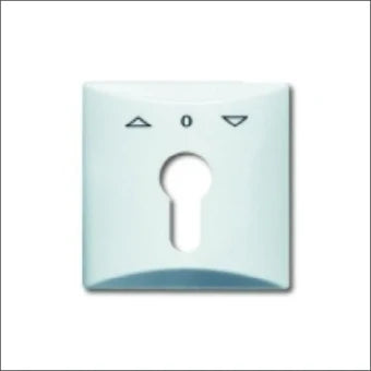 ABB BUSCH-JAEGER 2CKA001710A1829 Bedienelement / Zentralplatte Schalterprogramm 70 mm