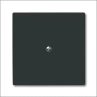 ABB BUSCH-JAEGER 2CKA001730A0280 Abdeckrahmen Schalterprogramm 14 mm