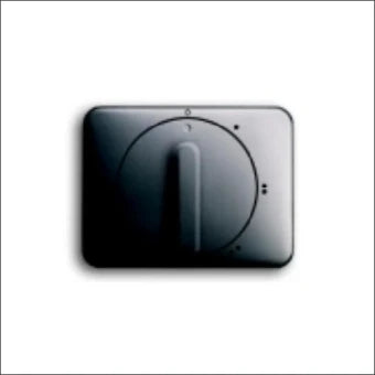 ABB BUSCH-JAEGER 2CKA001710A3113 Bedienelement / Zentralplatte Schalterprogramm 70 mm