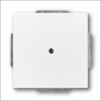 ABB BUSCH-JAEGER 2CKA001754A4370 Abdeckrahmen Schalterprogramm 11 mm