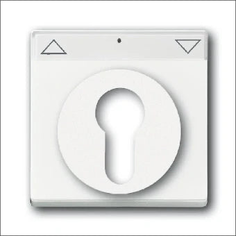 ABB BUSCH-JAEGER 2CKA001710A3175 Bedienelement / Zentralplatte Schalterprogramm 63 mm