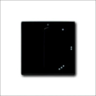ABB BUSCH-JAEGER 2CKA001710A3644 Bedienelement / Zentralplatte Schalterprogramm 63 mm