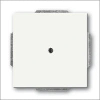 ABB BUSCH-JAEGER 2CKA001754A4418 Abdeckrahmen Schalterprogramm 11 mm