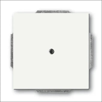 ABB BUSCH-JAEGER 2CKA001710A3873 Bedienelement / Zentralplatte Schalterprogramm