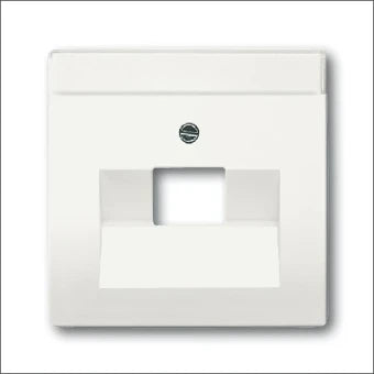 ABB BUSCH-JAEGER 2CKA001710A3889 Bauteil / Zentralplatte Kommunikations-Schalterprogramm
