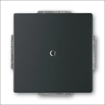 ABB BUSCH-JAEGER 2CKA001710A3895 Bedienelement / Zentralplatte Schalterprogramm