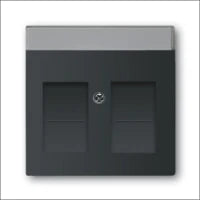 ABB BUSCH-JAEGER 2CKA001754A4370 Abdeckrahmen Schalterprogramm 11 mm