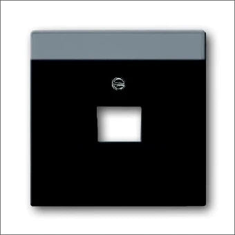 ABB BUSCH-JAEGER 2CKA001710A3912 1803-885 Onderdeel/centraalplaat communicatie-schakelmateriaal