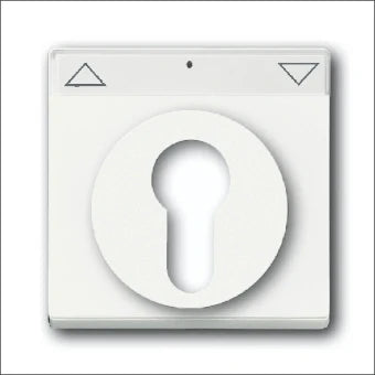 ABB BUSCH-JAEGER 2CKA001710A3925 Bedienelement / Zentralplatte Schalterprogramm 63 mm