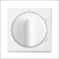 ABB BUSCH-JAEGER 2CKA001101A0919 Drie-standenschakelaar