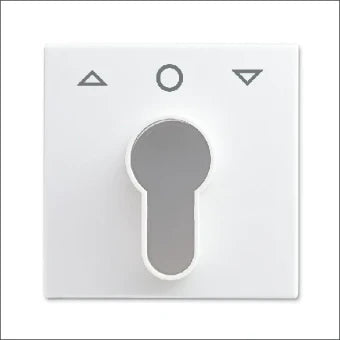 ABB BUSCH-JAEGER 2CKA001710A4069 Bedienelement / Zentralplatte Schalterprogramm 54 mm
