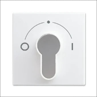 ABB BUSCH-JAEGER 2CKA001710A4070 Bedienelement / Zentralplatte Schalterprogramm 55 mm