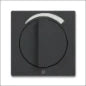 ABB BUSCH-JAEGER 2CKA001754A4421 Abdeckrahmen Schalterprogramm 11 mm