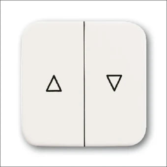 ABB BUSCH-JAEGER 2CKA001713A0163 Bedienelement / Zentralplatte Schalterprogramm 54 mm