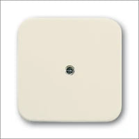ABB BUSCH-JAEGER 2CKA001725A0928 Abdeckrahmen Schalterprogramm 11 mm