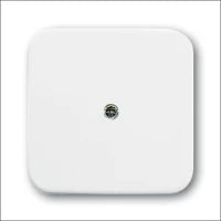 ABB BUSCH-JAEGER 2CKA001725A0936 Abdeckrahmen Schalterprogramm 11 mm