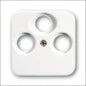 ABB BUSCH-JAEGER 2CKA001754A4058 Abdeckrahmen Schalterprogramm 11 mm