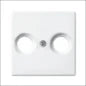 ABB BUSCH-JAEGER 2CKA001725A1562 Abdeckrahmen Schalterprogramm 11 mm