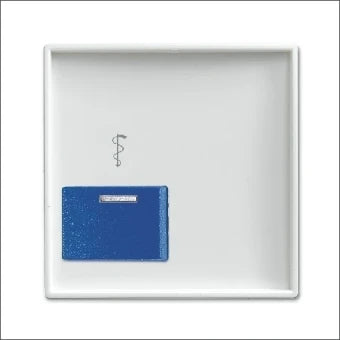 ABB BUSCH-JAEGER 2CKA001724A4349 Zentralplatte zusteroproepsysteem