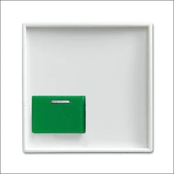 ABB BUSCH-JAEGER 2CKA001724A4358 Zentralplatte zusteroproepsysteem