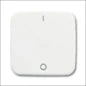 ABB BUSCH-JAEGER 2CKA001725A0928 Abdeckrahmen Schalterprogramm 11 mm