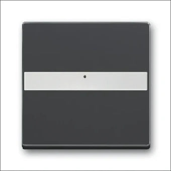 ABB BUSCH-JAEGER 2CKA001731A1552 Bedienelement / Zentralplatte Schalterprogramm 63 mm