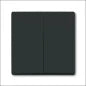 ABB BUSCH-JAEGER 2CKA001730A0209 Abdeckrahmen Schalterprogramm 14 mm
