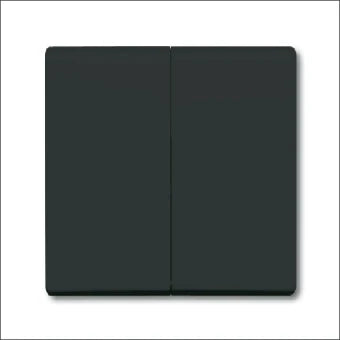 ABB BUSCH-JAEGER 2CKA001731A1676 Bedienelement / Zentralplatte Schalterprogramm 70 mm