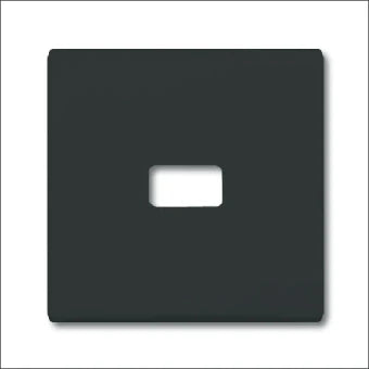 ABB BUSCH-JAEGER 2CKA001731A1700 Bedienelement / Zentralplatte Schalterprogramm 70 mm