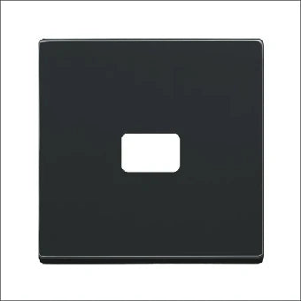 ABB BUSCH-JAEGER 2CKA001731A1914 Bedienelement / Zentralplatte Schalterprogramm 63 mm