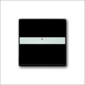 ABB BUSCH-JAEGER 2CKA001731A1982 Bedienelement / Zentralplatte Schalterprogramm 63 mm