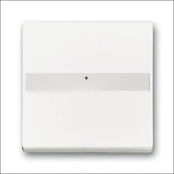 ABB BUSCH-JAEGER 2CKA001731A1985 Bedienelement / Zentralplatte Schalterprogramm 63 mm