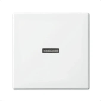 ABB BUSCH-JAEGER 2CKA001731A2009 Bedienelement / Zentralplatte Schalterprogramm 55 mm